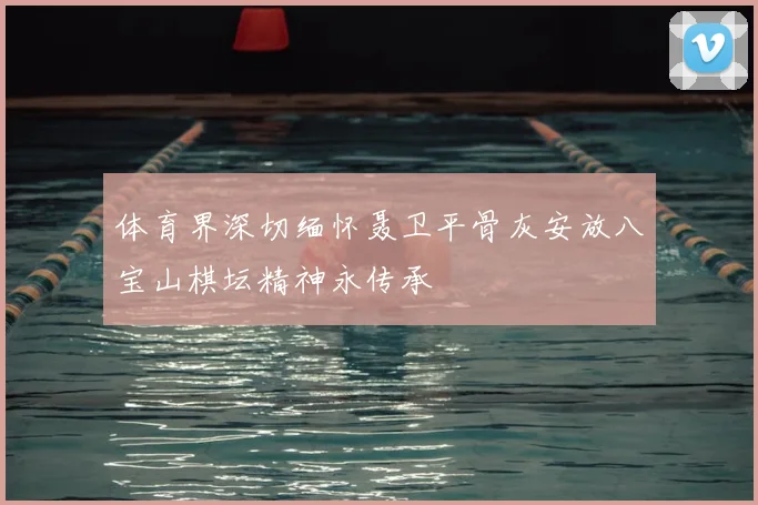 体育界深切缅怀聂卫平骨灰安放八宝山棋坛精神永传承